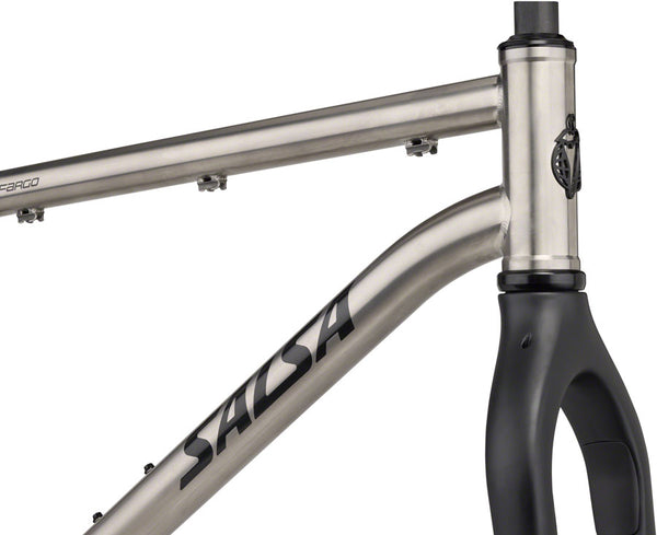 Salsa Fargo Ti Frameset - 29" Titanium Raw X-Small